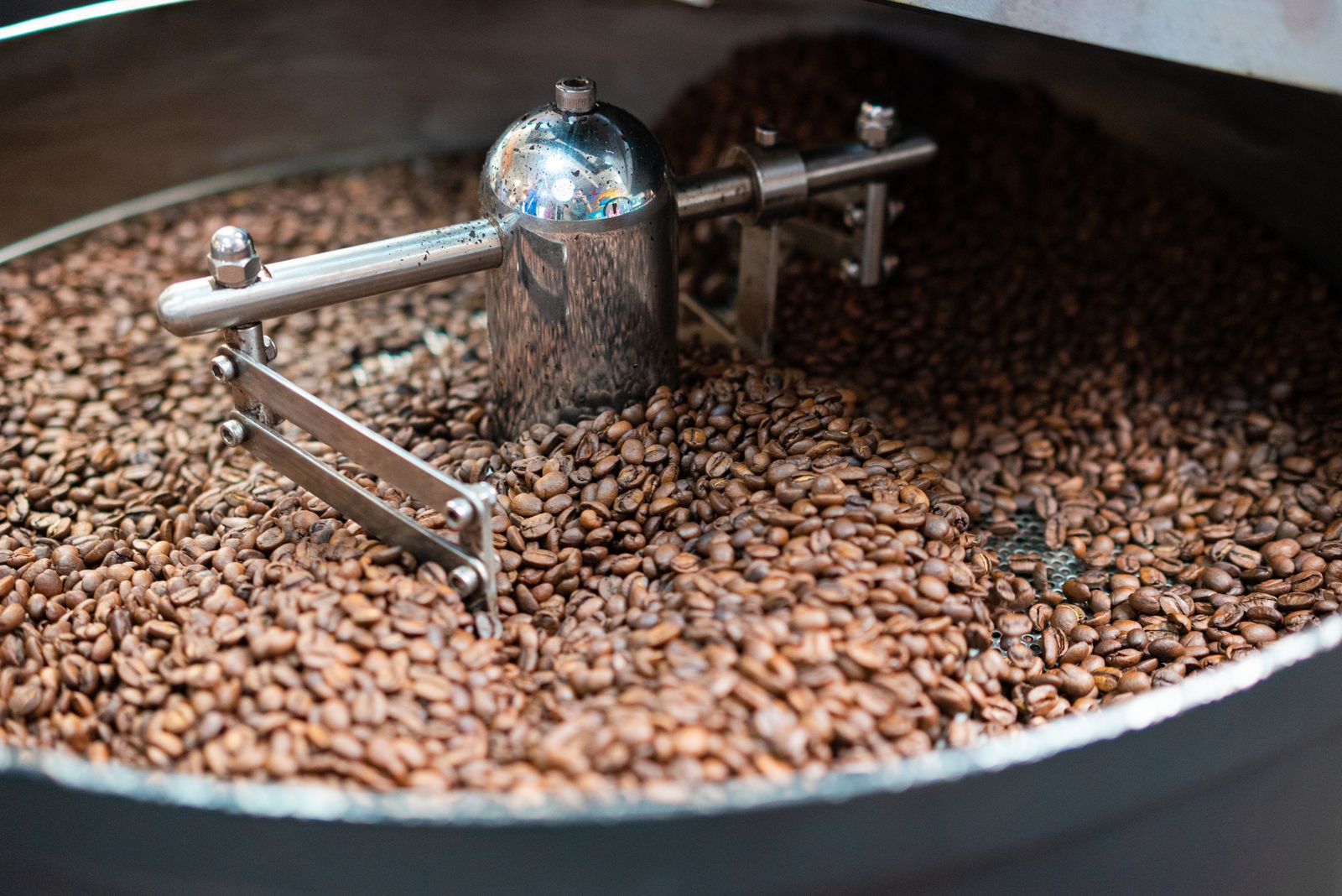 Dapple Coffee Roasters: roast day, batch 212